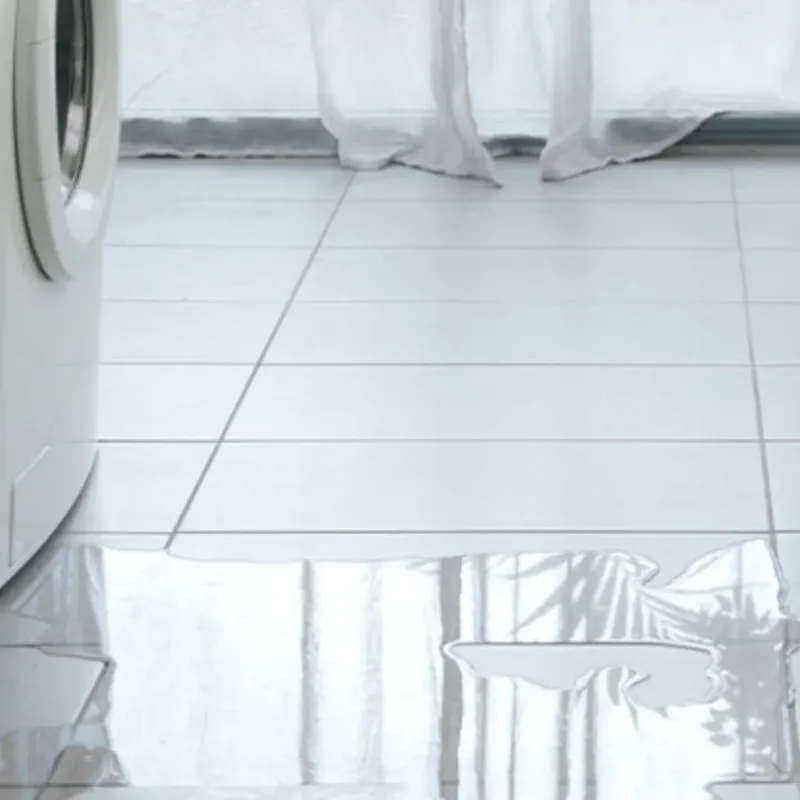 Appliance Leak Cleanup in Johnson County, IL