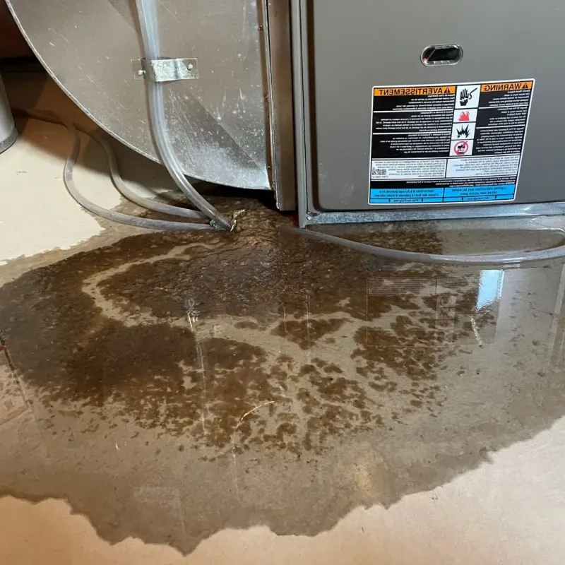 Pipe Burst and Leak Restoration in Johnson County, IL