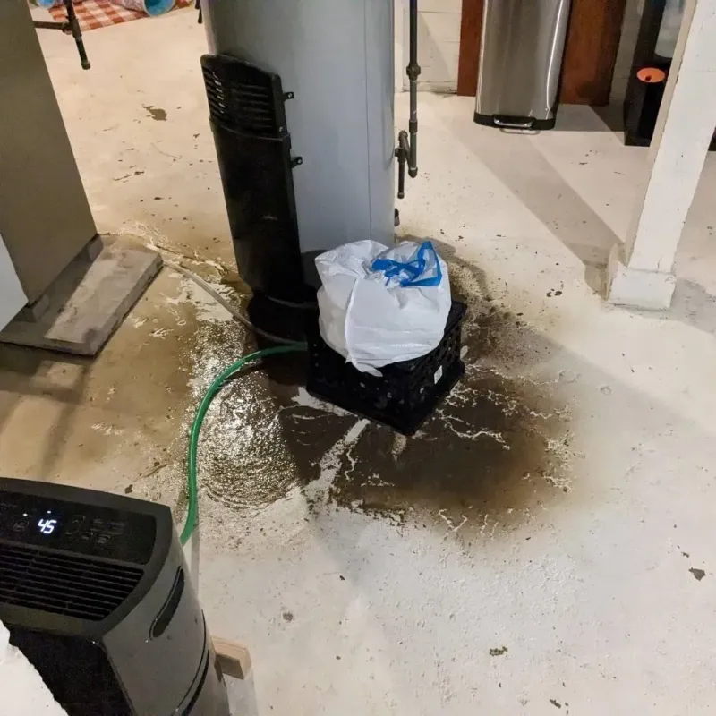 Sewage Backup Cleanup Service in Johnson County, IL